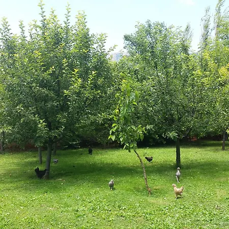 Rasitler Bag Evi * Safranbolu